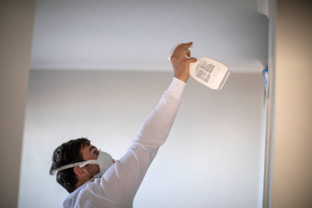 Best Residential Mold Remediation in Mena, AR